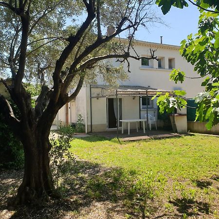 Orteils Au Soleil Jardin Parking Nîmes Dış mekan fotoğraf